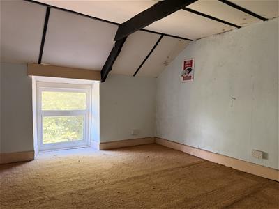 Picture 25